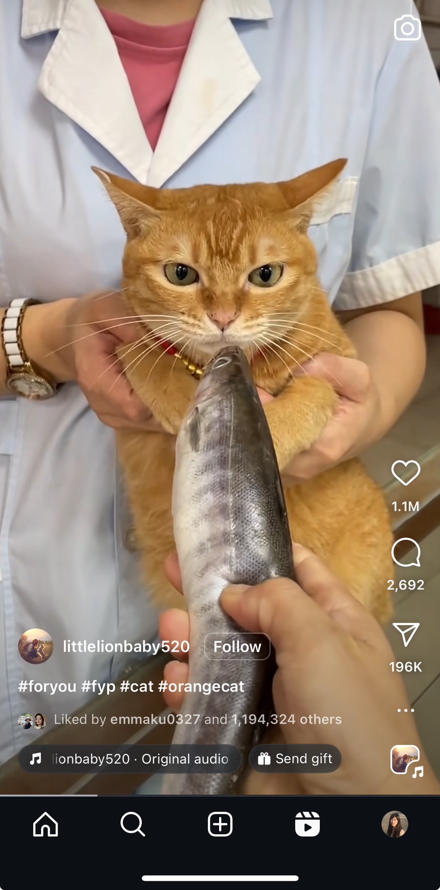 短影音平台 Instagram Reels